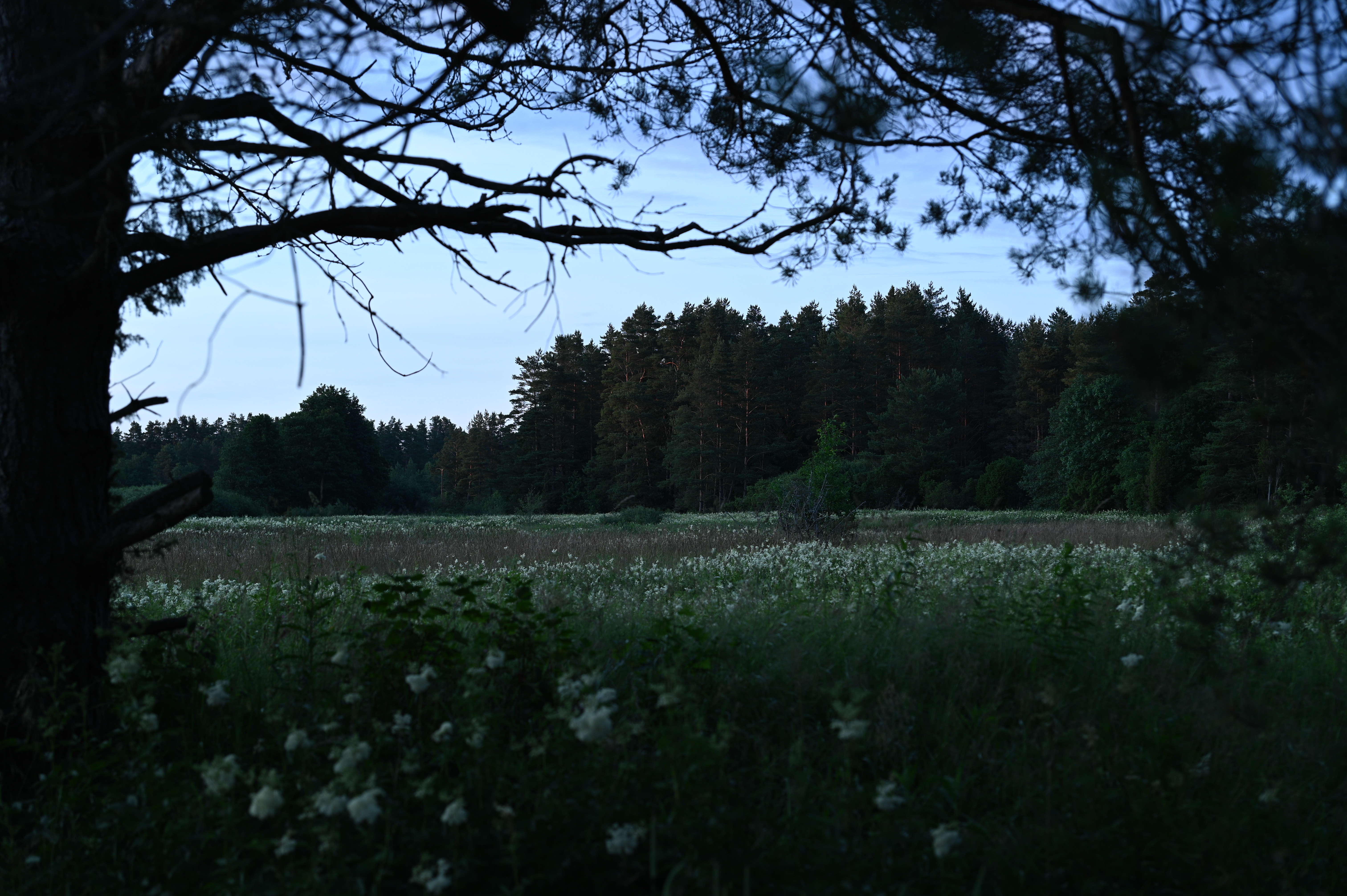 2025/07/09-14 - trip/DSC_0088.JPG